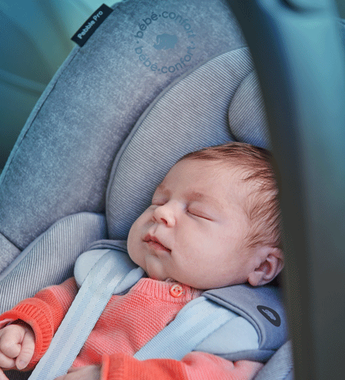 bbc-landing-page-car-seat-safety-3_500x550px bbc-landing-page-car-seat-safety-3_500x550px